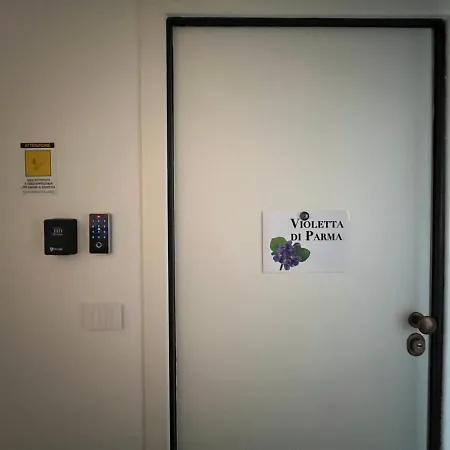 Violetta Di * 帕爾馬