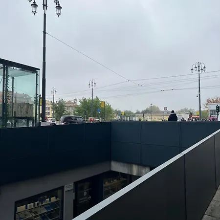 Violetta Di 帕爾馬